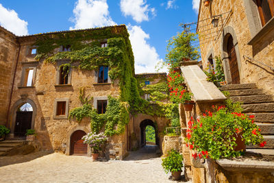 Plants and old building against sky