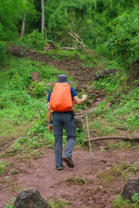 Hike trail hiker man walking in autumn fall nature woods during fall season. 