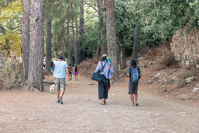 Rear view of people walking in forest