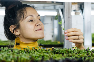 Young woman farmer growing microgreens on urban indoor vertical garden. happy person looking after