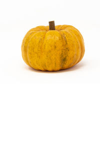 Close-up of pumpkin against white background