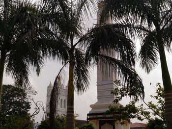Low angle view of trees