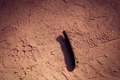 High angle view of sand