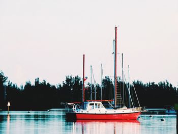 Sailboats moored in marina against clear sky