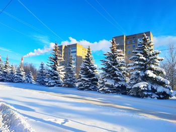 Snow covered trees against sky
