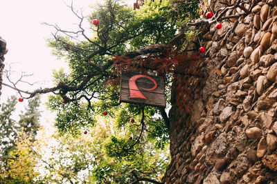 Low angle view of sign hanging on tree