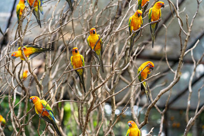 Bird perching on branch