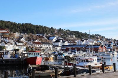 Scenic view of harbor against clear sky