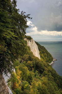 Scenic view of sea and trees against sky