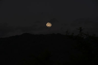 Low angle view of silhouette moon against sky at night