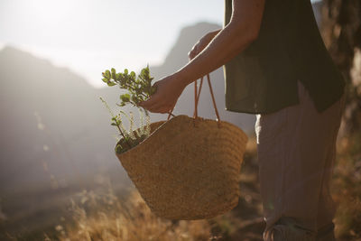 Midsection of woman holding plant on field