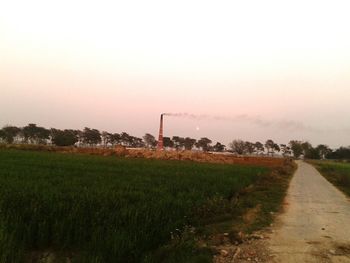 Road passing through field