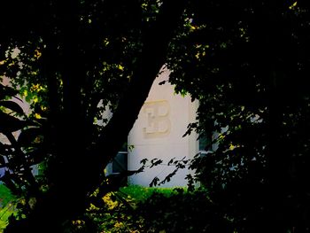 Silhouette trees by plants against sky