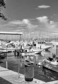 Boats moored at harbor against sky