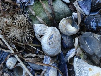 Full frame shot of firewood