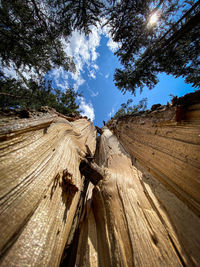 Low angle view of wooden fence against sky