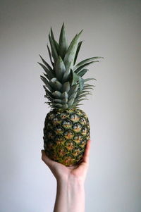 Cropped image of hand holding fruit over white background