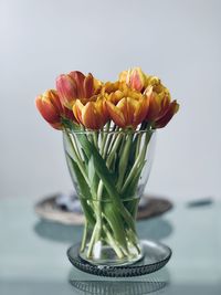 Close-up of rose flower in vase