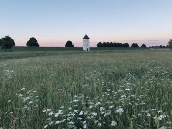 Scenic view of farm against sky