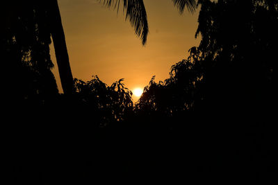 Low angle view of silhouette trees against sky during sunset
