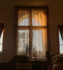 Potted plants on window at home