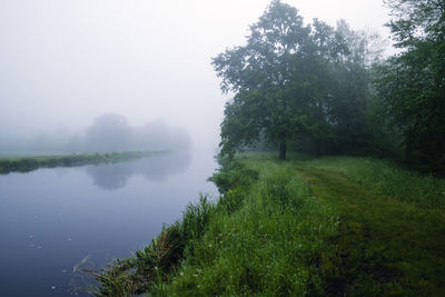 Scenic view of lake amidst trees against sky