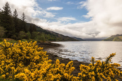 Scenic view of lake against sky