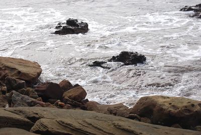 Scenic view of sea shore
