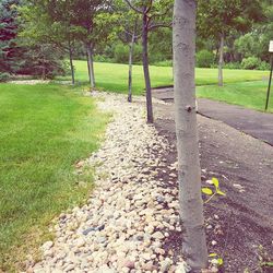 Footpath on grassy field