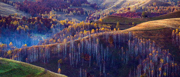 Panoramic view of landscape during autumn