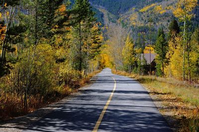 Empty road along trees in forest