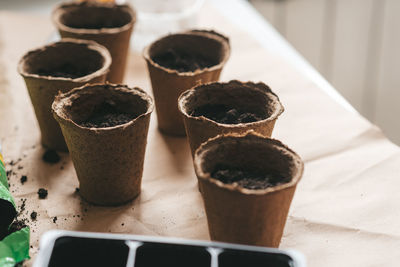 Peat pots, plastic mold for planting seeds. preparing for spring gardening