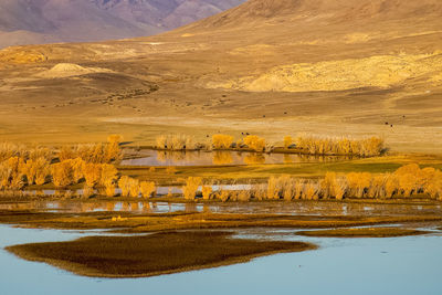 Scenic view of lake