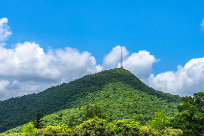 Panoramic view of trees on mountain against sky