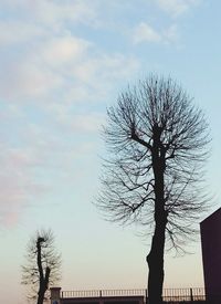 Low angle view of silhouette tree against sky