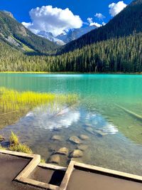 Scenic view of lake in forest against sky