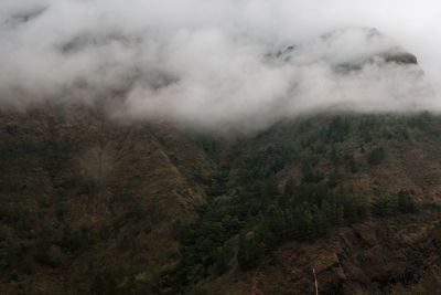 High angle view of trees and mountains against sky