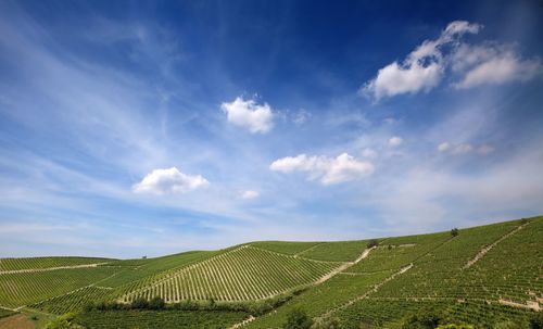 Hills in astigiano, piedmont, italy