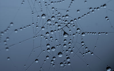 Shot of morning dew  on a spiderweb 