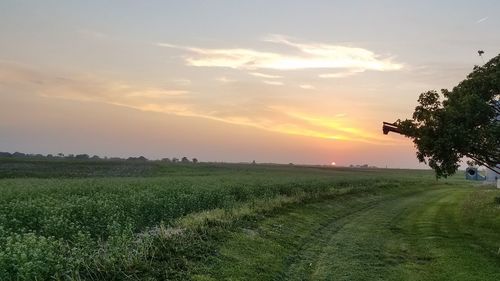 Scenic view of field against sky at sunset