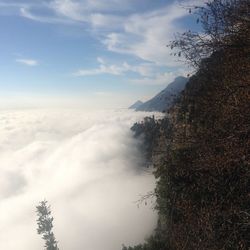 Scenic view of tree mountains against sky