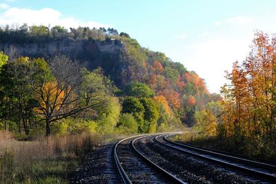 Railroad track amidst trees against sky during autumn