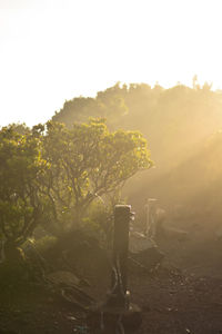 Golden sunrise at mount gede peak. mount gede pengrango national park