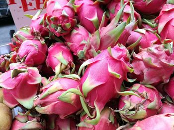Close-up of pink flowers at market stall