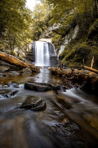 Scenic view of waterfall in forest