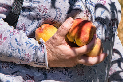 Ripe peaches in the hand, in the rays of the sun.
