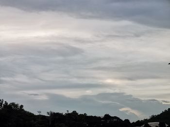 Low angle view of silhouette trees against sky