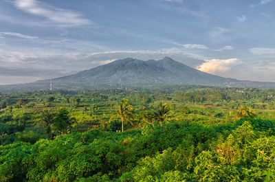 Scenic view of landscape against sky