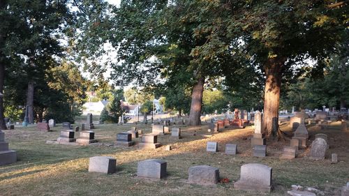 View of cemetery