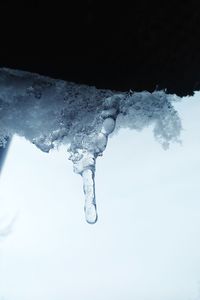 Close-up of ice crystals against sky